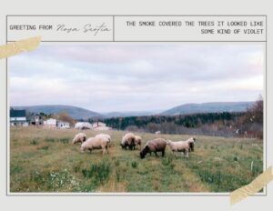 Margaree
