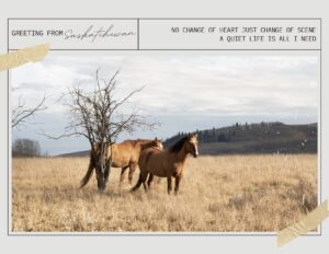 Saskatchewan